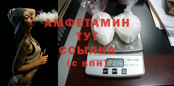индика Пестово