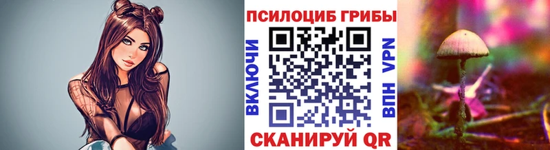 Псилоцибиновые грибы Cubensis  магазин    Приморск 